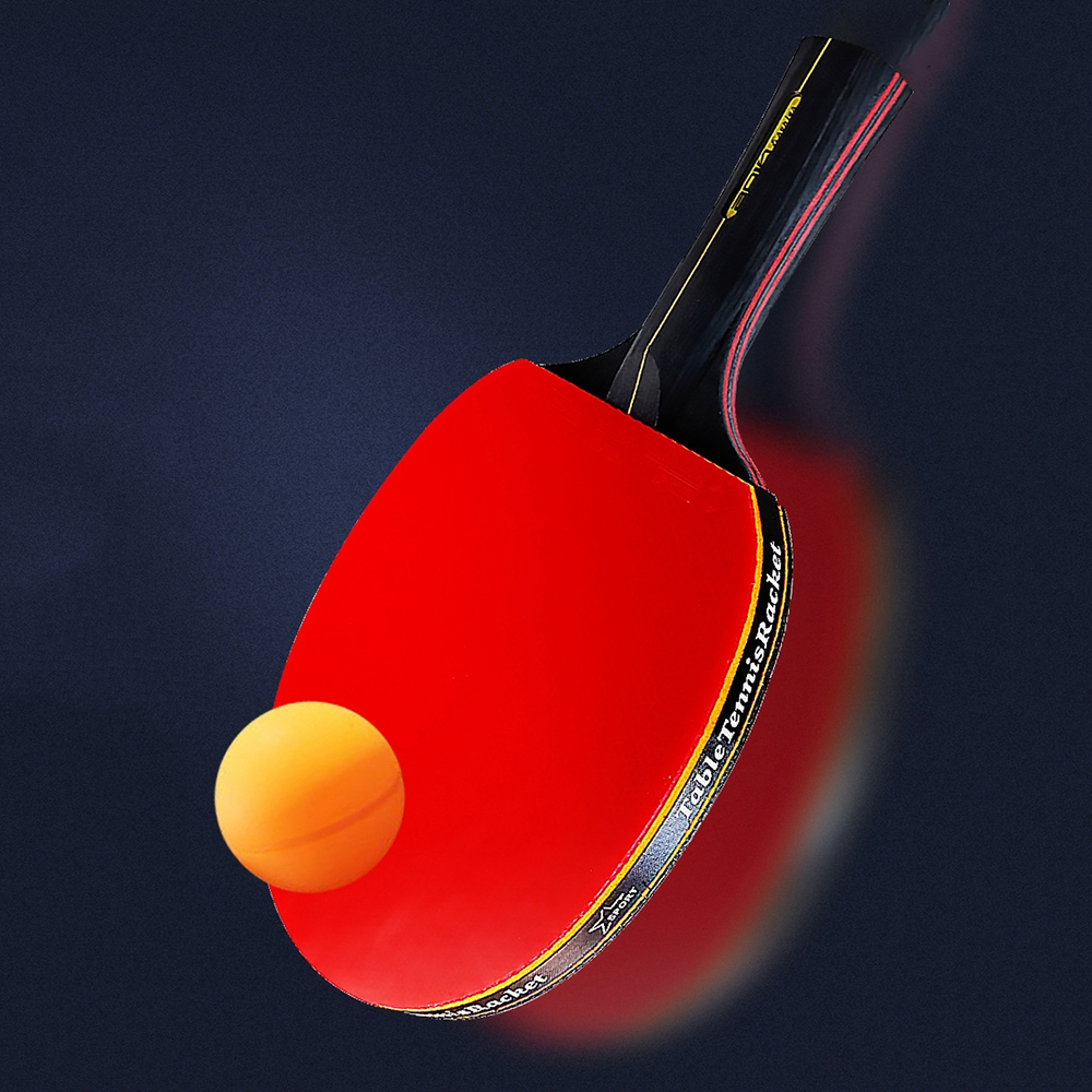 2PCS Professional 6 Star Table - Table Tennis History のレビューと価格