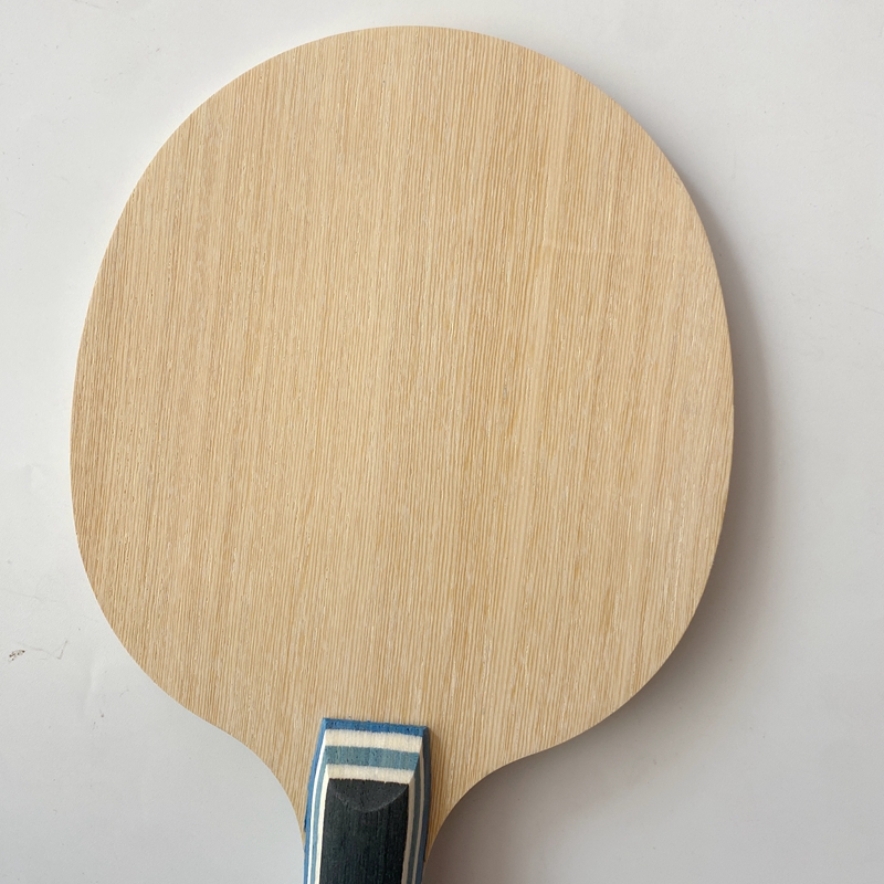Lemuria VIS Carbon Fiber Table - Table Tennis Review のレビューと価格