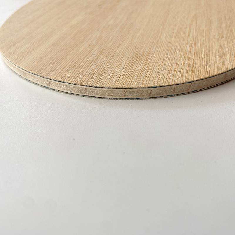 Lemuria VIS Carbon Fiber Table - Table Tennis Review のレビューと価格