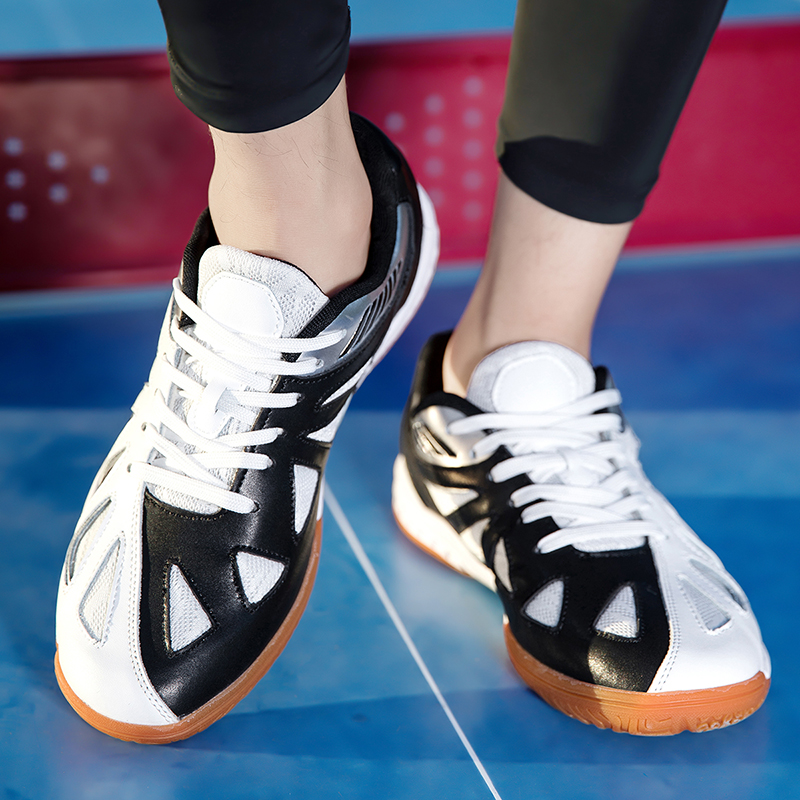 2025 Men's and Women's Badmint - Table Tennis Basic のレビューと価格