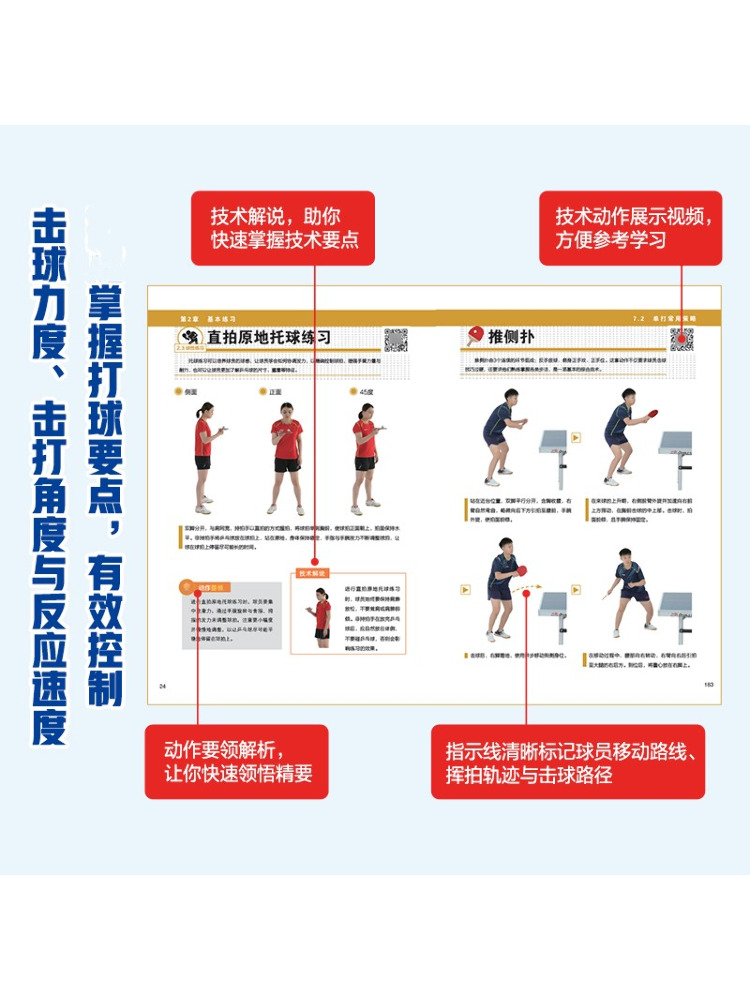 Book-Winshare Illustrated Tabl - Table Tennis Basic のレビューと価格