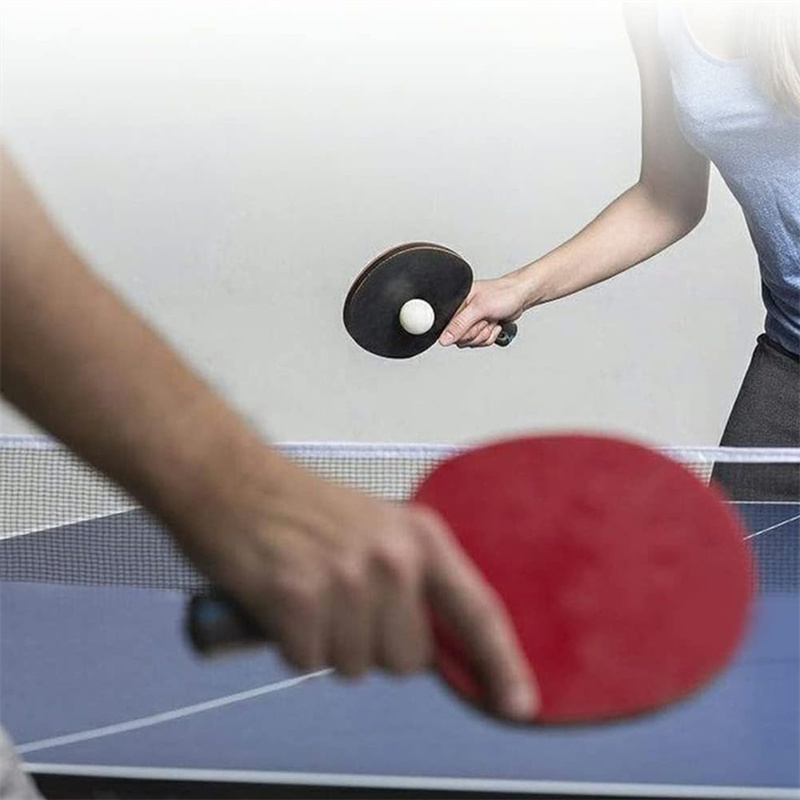 1-3-5PCS Portable Table Tennis - Table Tennis No 1 のレビューと価格